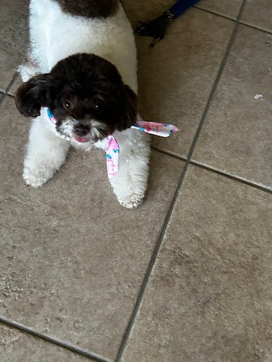 Photo from customer review