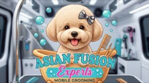 State-of-the-art mobile pet grooming salon van interior featuring premium products and warm water systems - Karol by Grooming